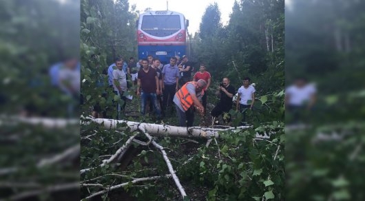 Крушение пассажирского поезда предотвращено в Казахстане