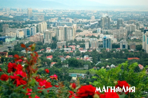 Мой любимый город Алматы